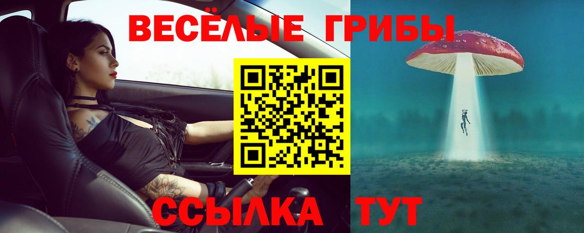 цена наркотик  Вход с VPN  Псилоцибиновые грибы Psilocybe  Добрянка  Галлюциногенные грибы мицелий 